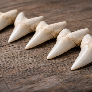 Screenshot 2026-02-01 at 10.08.24 PM